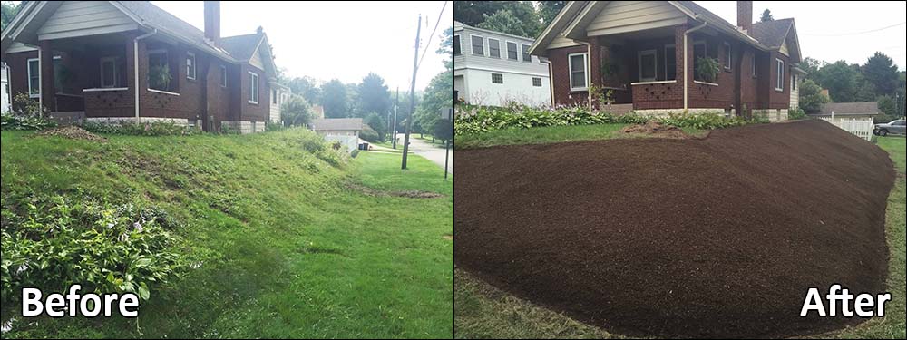 Hillside Before & After