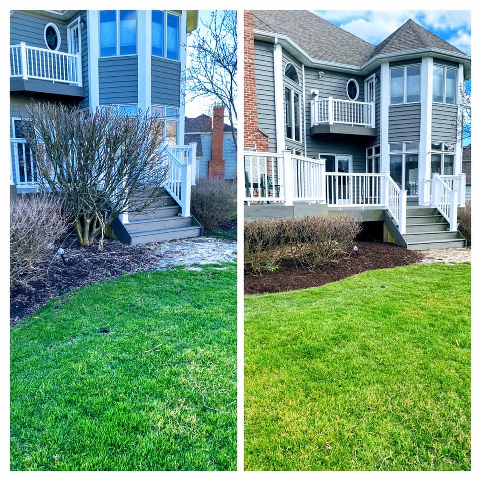 Front Yard Landscaping