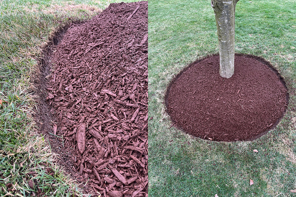 Cherry Brown mulching